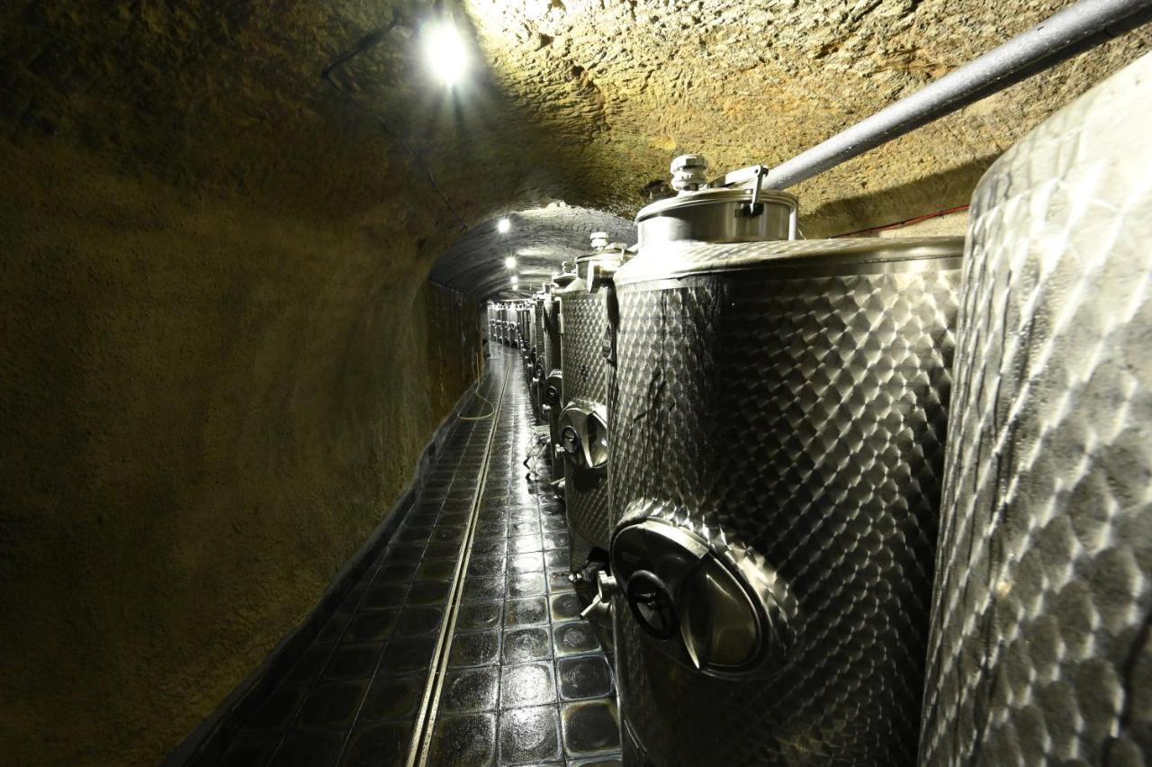 Valecska Palenice Ngoại thất bức ảnh